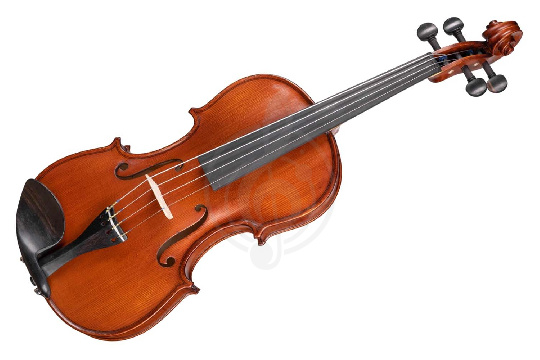 Скрипка 4/4 Gliga AW-V044-O Workshop Gems 1 OPB - Скрипка 4/4 - фото 1