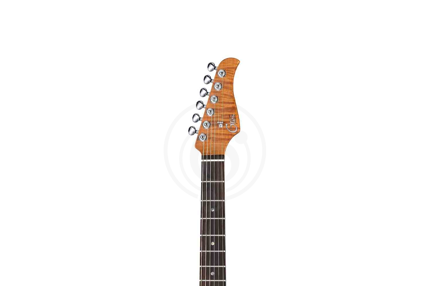 Электрогитара Stratocaster GTRS P800-Professional-800-DN - Электрогитара - фото 3