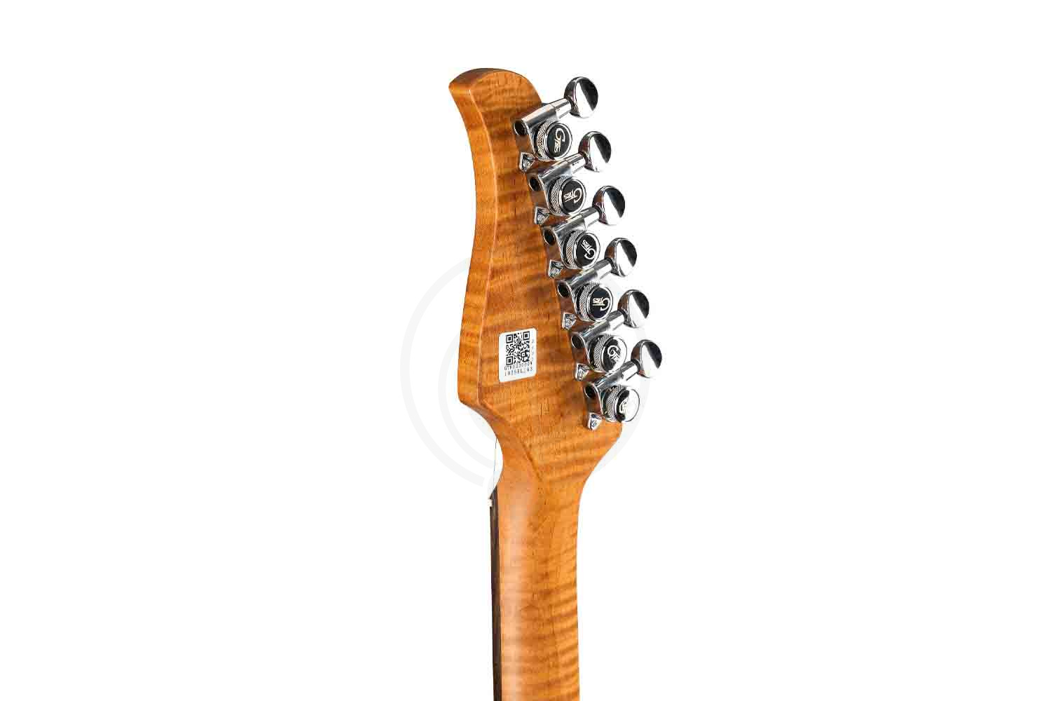 Электрогитара Stratocaster GTRS P800-Professional-800-DN - Электрогитара - фото 6