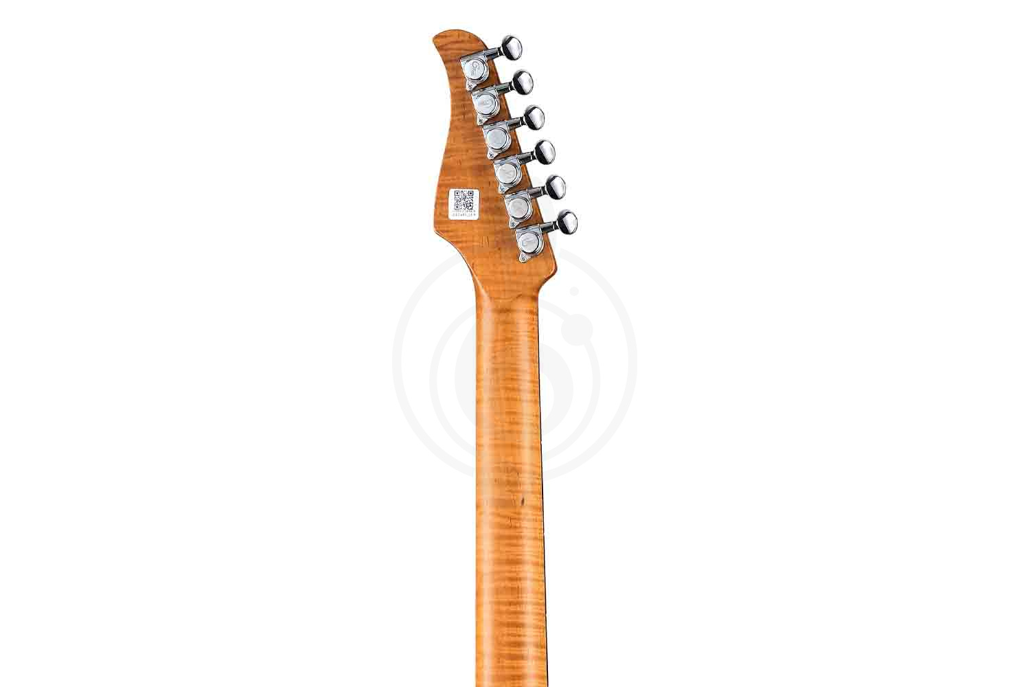Электрогитара Stratocaster GTRS P800-Professional-800-DN - Электрогитара - фото 11
