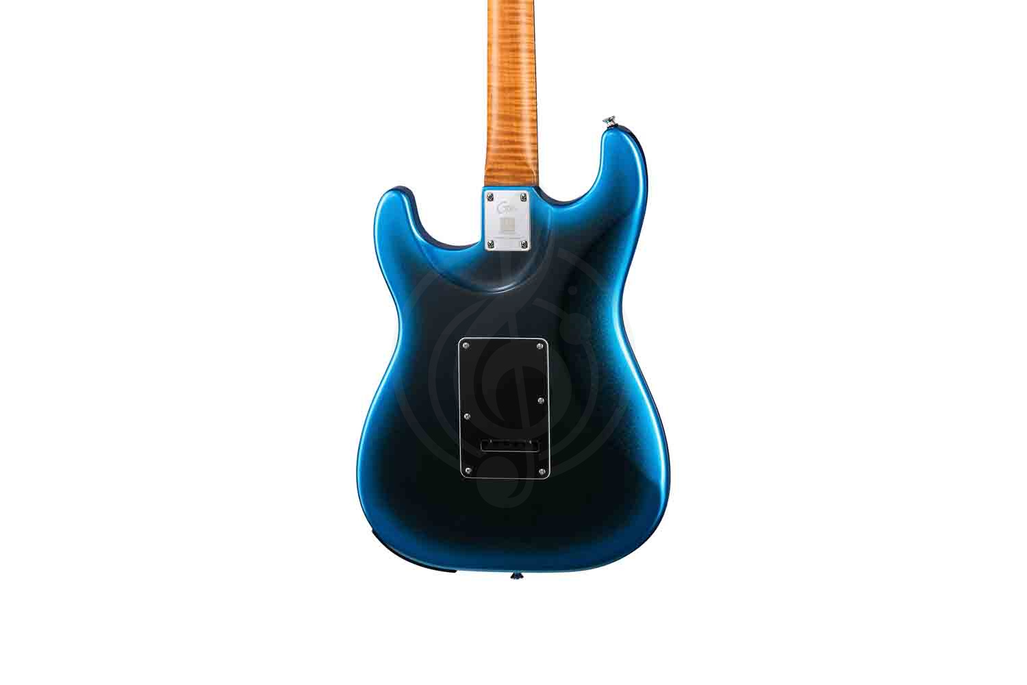 Электрогитара Stratocaster GTRS P800-Professional-800-DN - Электрогитара - фото 12
