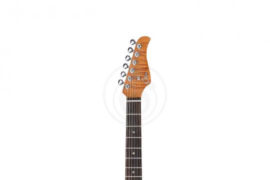Электрогитара Stratocaster GTRS P800-Professional-800-DN - Электрогитара - фото 3