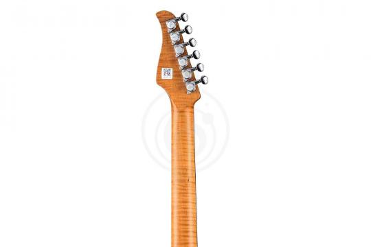 Электрогитара Stratocaster GTRS P800-Professional-800-DN - Электрогитара - фото 11