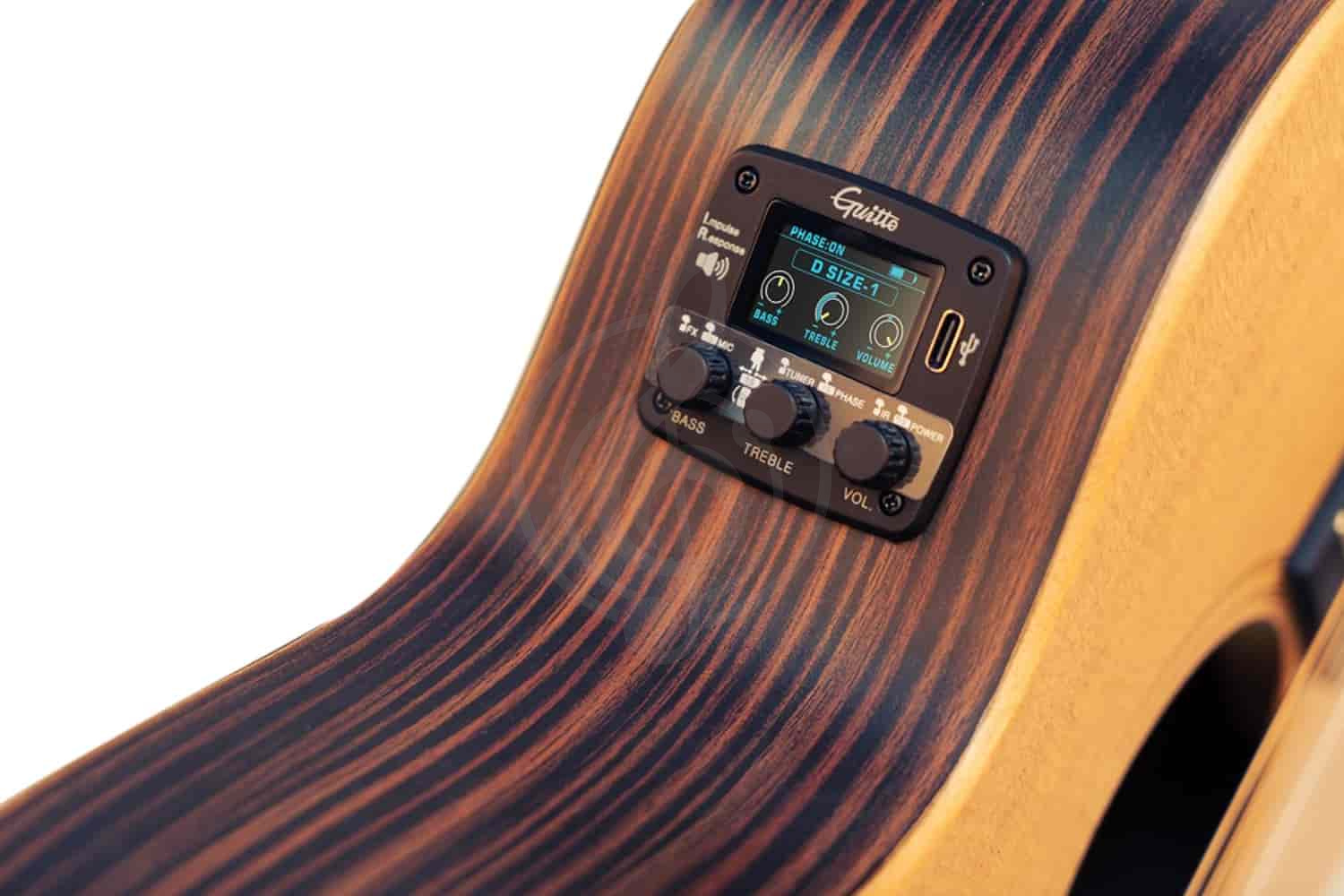 Звуковой модуль для синтезатора Guitto GGP-04 - Трансакустический звукосниматель - фото 1