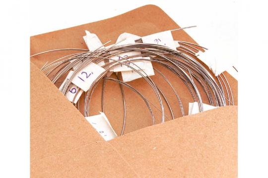 Струны для гуслей Гусельник GU-72.02.09.00000 - Комплект струн для гуслей Брынчаги - фото 