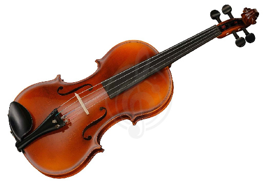 Скрипка 4/4 Hora SKR100-4/4 Student - Скрипка студенческая в футляре с смычком - фото 1