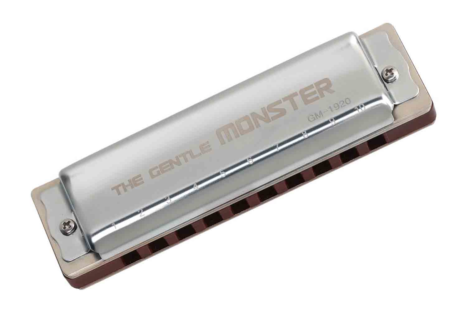 Диатоническая губная гармошка JDR GM-1920E Gentle Monster - Губная гармошка - фото 1