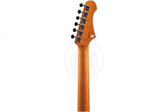 JET JT-300 BTS LH - электрогитара под левую руку, Telecaster - фото 18 Электрогитара Telecaster JET JT-300 BTS LH - электрогитара под левую руку, Telecaster - фото 18