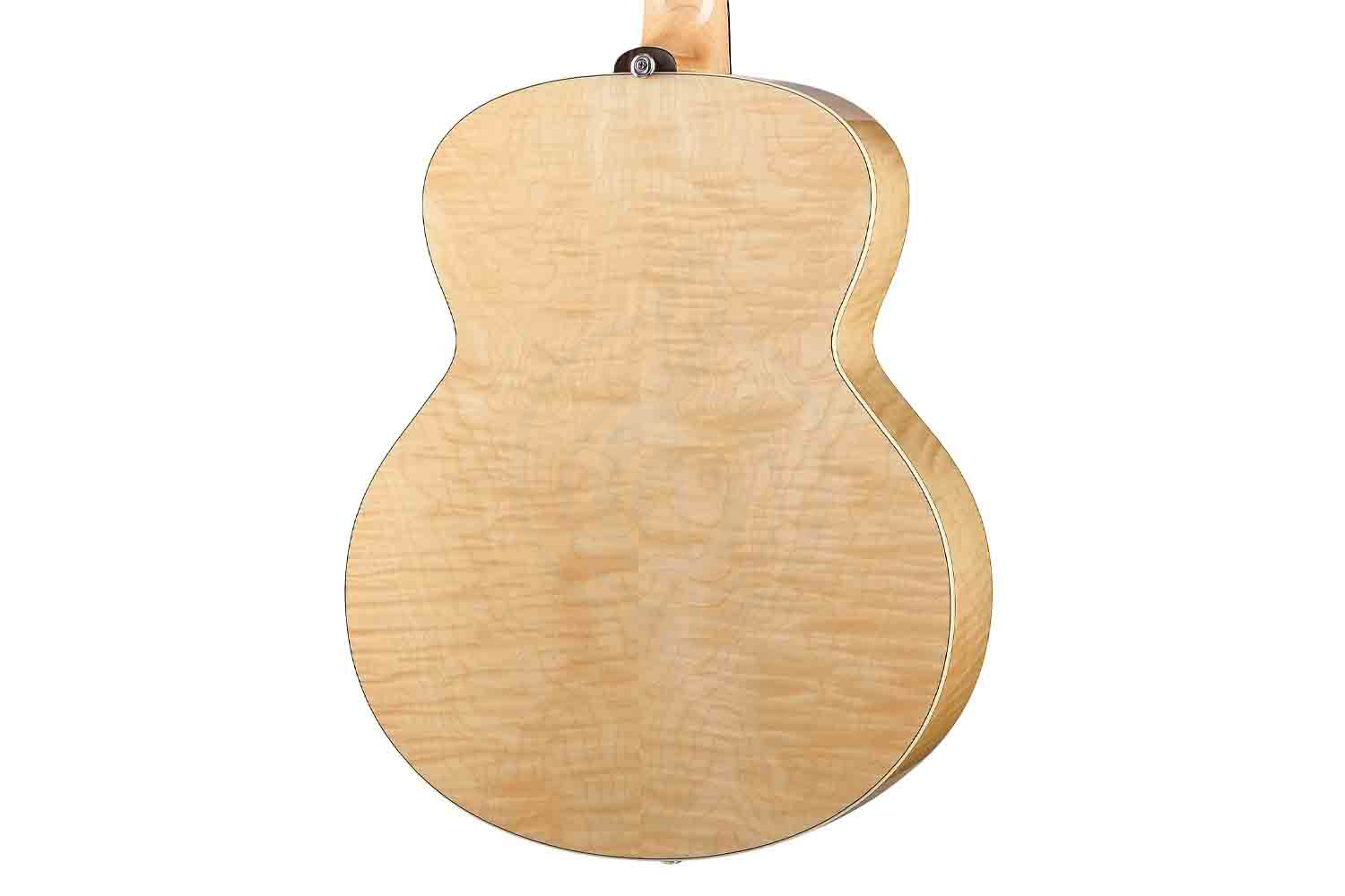 Трансакустическая гитара Joyo JWGT-02 - Гитара акустическая - фото 4