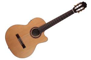 Изображение Kremona R65CWC-w/bag Performer Series Rondo