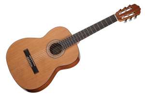 Изображение Kremona S58C
