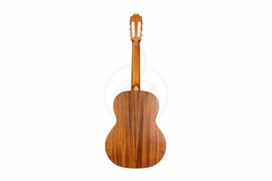 Классическая гитара 3/4 Kremona S62C-OP Soloist Series - Классическая гитара - фото 3