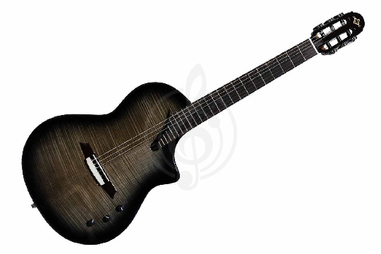 Martinez Hispania-Transblack - Классическая гитара со звукоснимателем, прозрачный черный - фото 1 Классическая гитара 4/4 Martinez Hispania-Transblack - Классическая гитара со звукоснимателем, прозрачный черный - фото 1