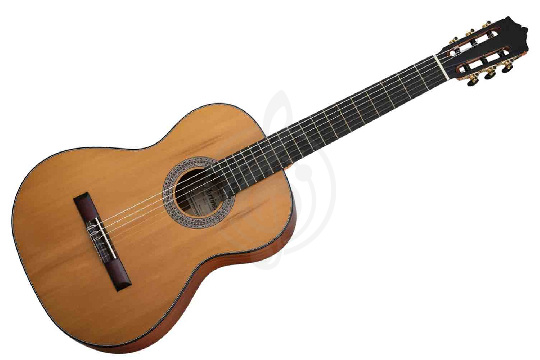 Классическая гитара 4/4 Martinez MC-35C - Классическая гитара - фото 1