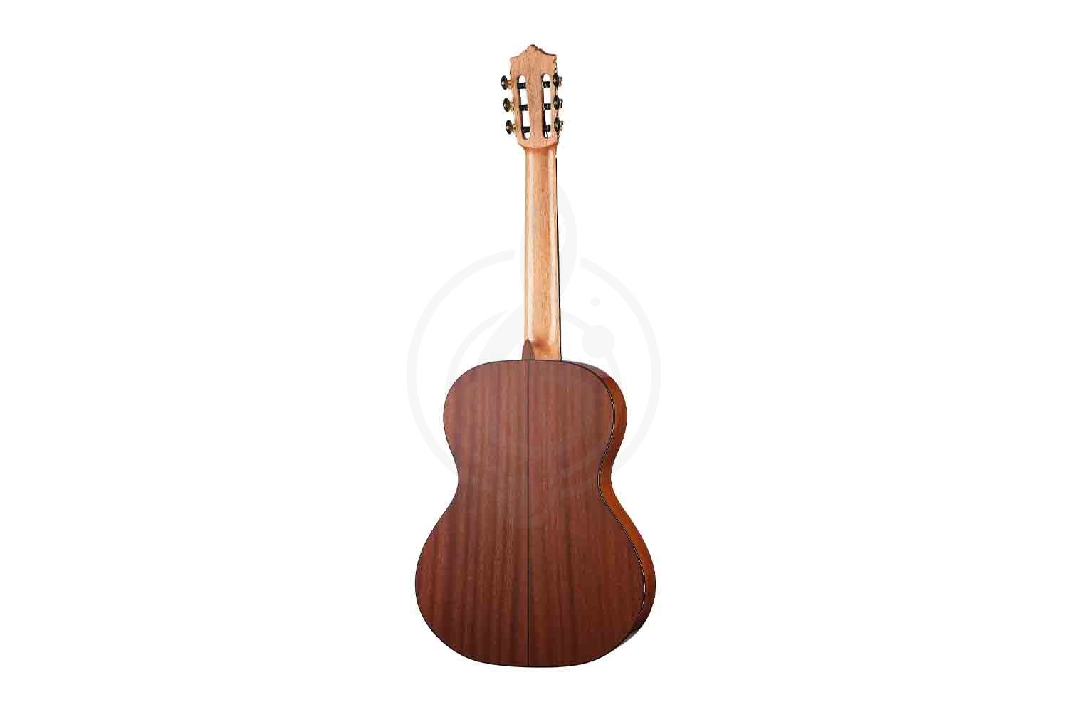 Классическая гитара 4/4 Martinez MC-48C Standard Series - Классическая гитара - фото 5