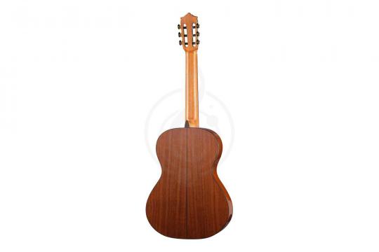 Классическая гитара 4/4 Martinez MC-48S 4/4 - Классическая гитара - фото 5