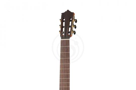 Классическая гитара 4/4 Martinez MC-58S 4/4 Standard Series - Классическая гитара - фото 8