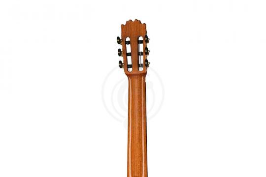 Классическая гитара 4/4 Martinez MF-17 - Классическая гитара - фото 4