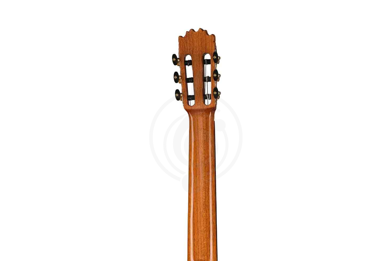 Классическая гитара 4/4 Martinez MF-17 - Классическая гитара - фото 4
