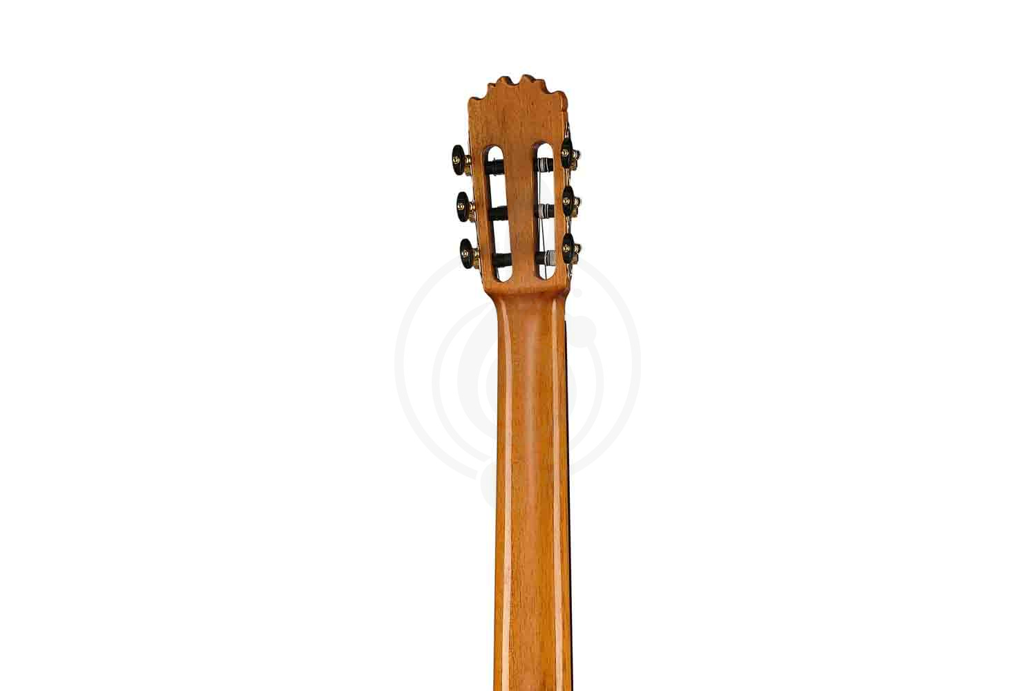 Классическая гитара 4/4 Martinez MF-5 - Классическая гитара - фото 4