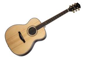 Изображение Parkwood P820ADK-WCASE-NAT - Акустическая гитара