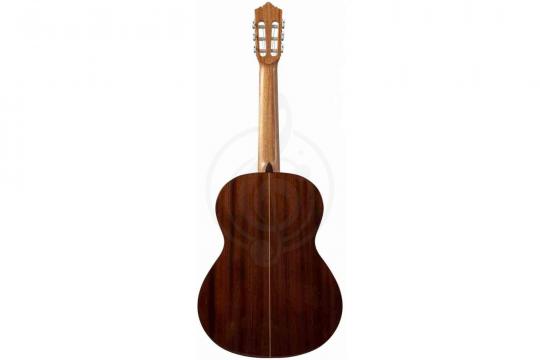 Классическая гитара 4/4 PEREZ 630 Spruce - Классическая гитара - фото 2