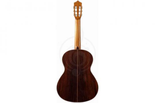 Классическая гитара 4/4 PEREZ 650 Spruce - Классическая гитара - фото 2