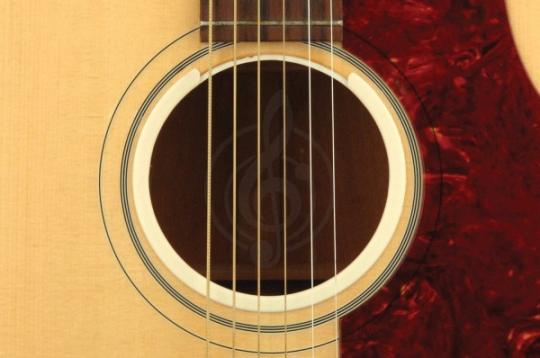  Planet Waves PW-OPWHL O-Port Расширитель звуковых возможностей акустической гитары - фото 2