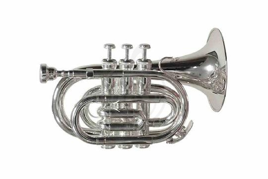 Prelude by Bach PT-710S - Труба Bb мини - фото 1 Труба Prelude by Bach PT-710S - Труба Bb мини - фото 1