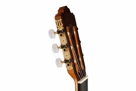 Классическая гитара 4/4 Prodipe JMFSOLOIST700 - Классическая гитара - фото 2