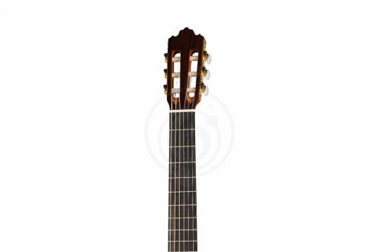 Классическая гитара 4/4 Prodipe JMFSOLOIST700 - Классическая гитара - фото 4
