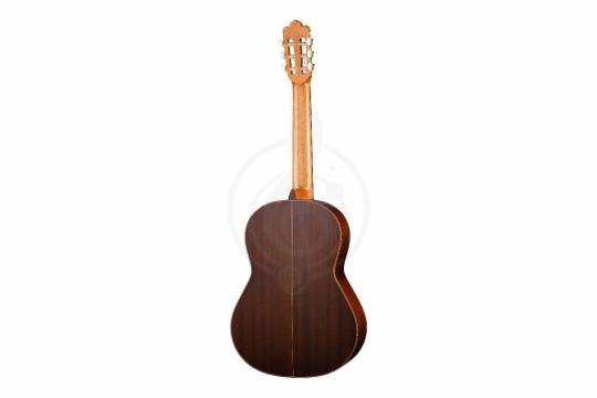Классическая гитара 4/4 Prodipe JMFSOLOIST700 - Классическая гитара - фото 7