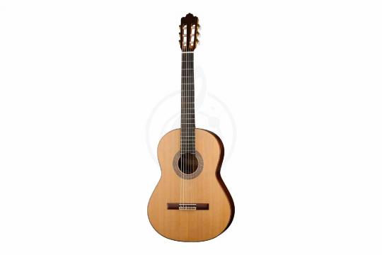 Классическая гитара 4/4 Prodipe JMFSOLOIST700 - Классическая гитара - фото 8