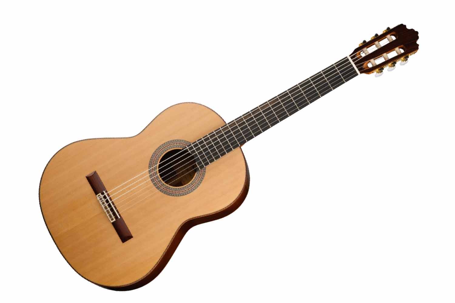 Классическая гитара 4/4 Prodipe JMFSOLOIST700 - Классическая гитара - фото 1