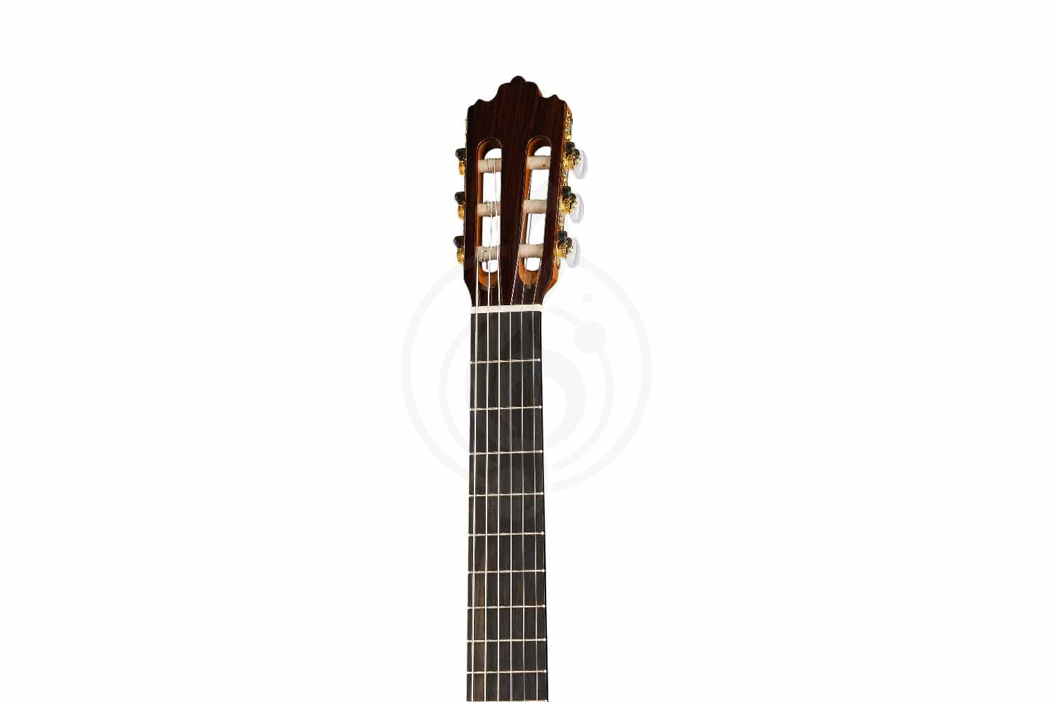 Классическая гитара 4/4 Prodipe JMFSOLOIST700 - Классическая гитара - фото 4