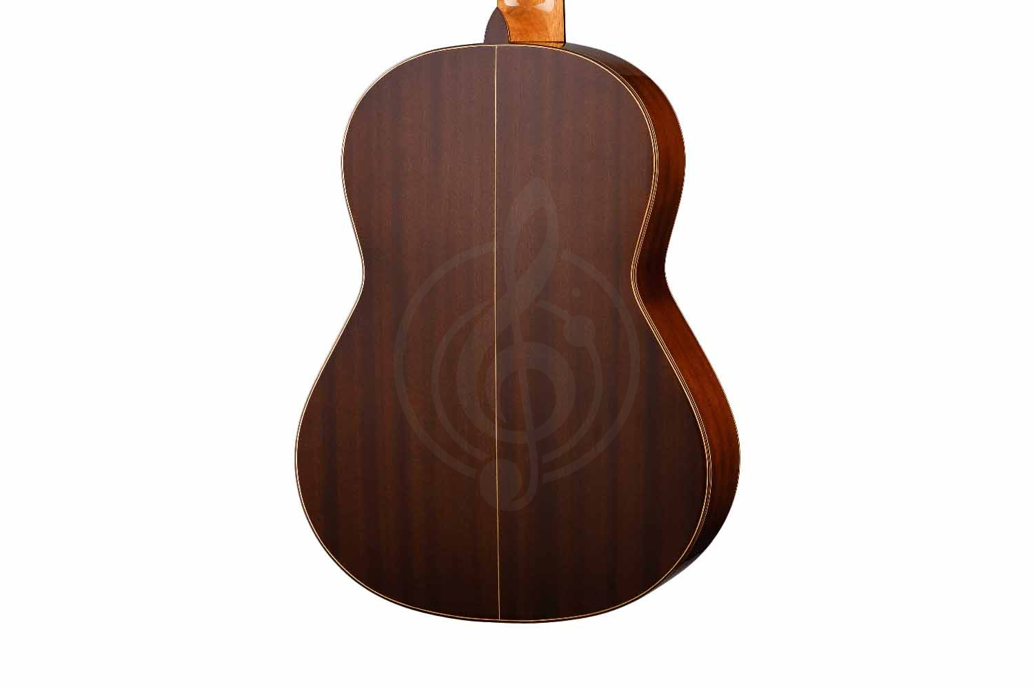 Классическая гитара 4/4 Prodipe JMFSOLOIST700 - Классическая гитара - фото 5