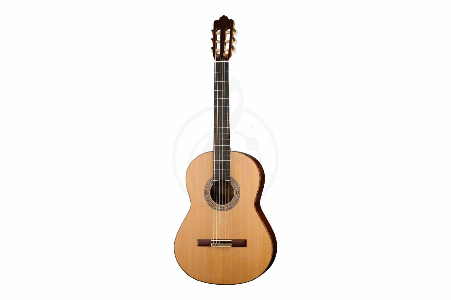 Классическая гитара 4/4 Prodipe JMFSOLOIST700 - Классическая гитара - фото 8