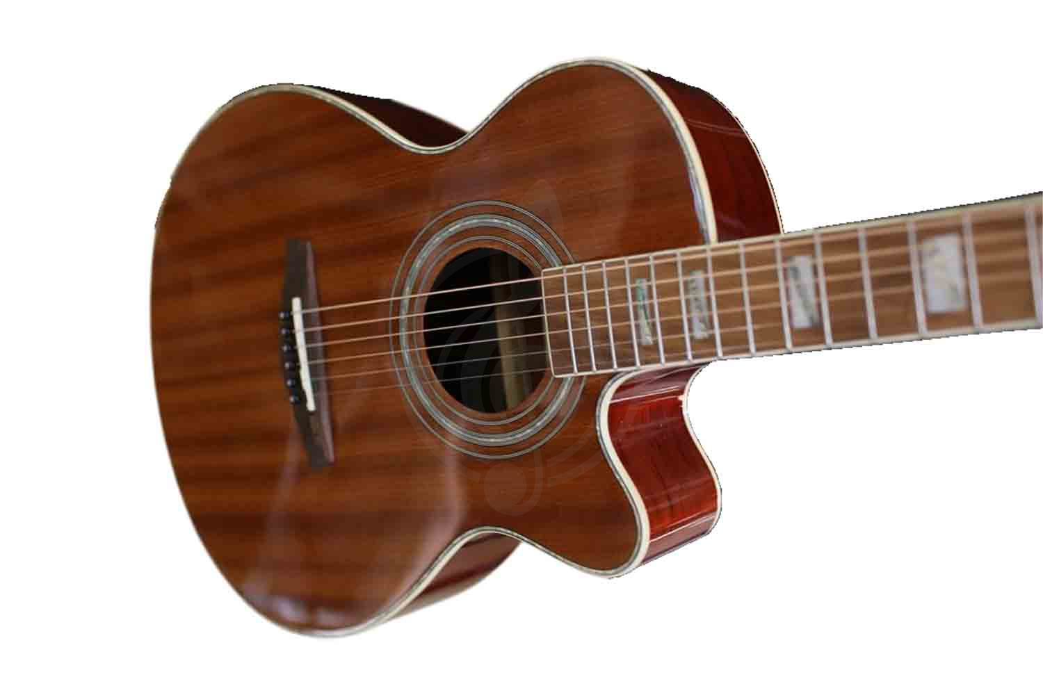 Акустическая гитара Ramis RA-C02C - Акустическая гитара - фото 6