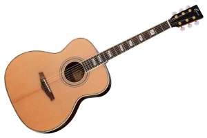 Изображение Акустическая гитара Ramis RW-436A