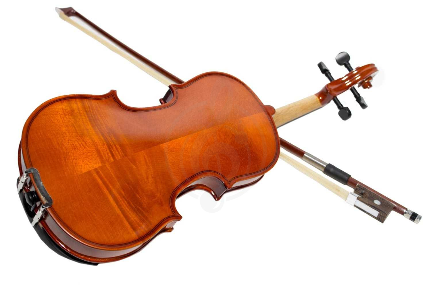 Скрипка 1/2 РФМИ СМ206-1/2 - Скрипка, размер 1/2 - фото 7