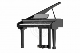 Цифровой рояль Ringway GDP-1120 Black-  Цифровой кабинетный рояль - фото 1
