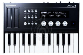 Roland A-01 - контроллер и генератор - фото 1 Аналоговый синтезатор Roland A-01 - контроллер и генератор - фото 1