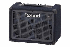 Roland - KC-220 - комбо для клавишных - фото 1 Клавишный комбоусилитель Roland - KC-220 - комбо для клавишных - фото 1