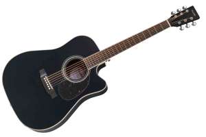 Изображение Root Note RD300CE-BK