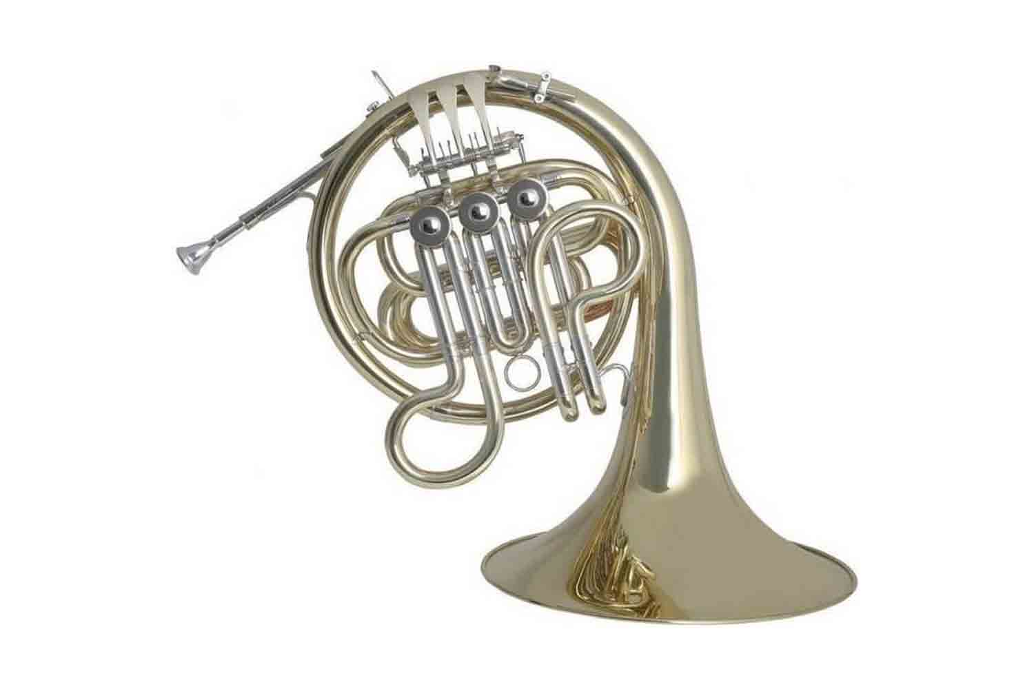 Валторна ROY BENSON HR-212F - Валторна - фото 1