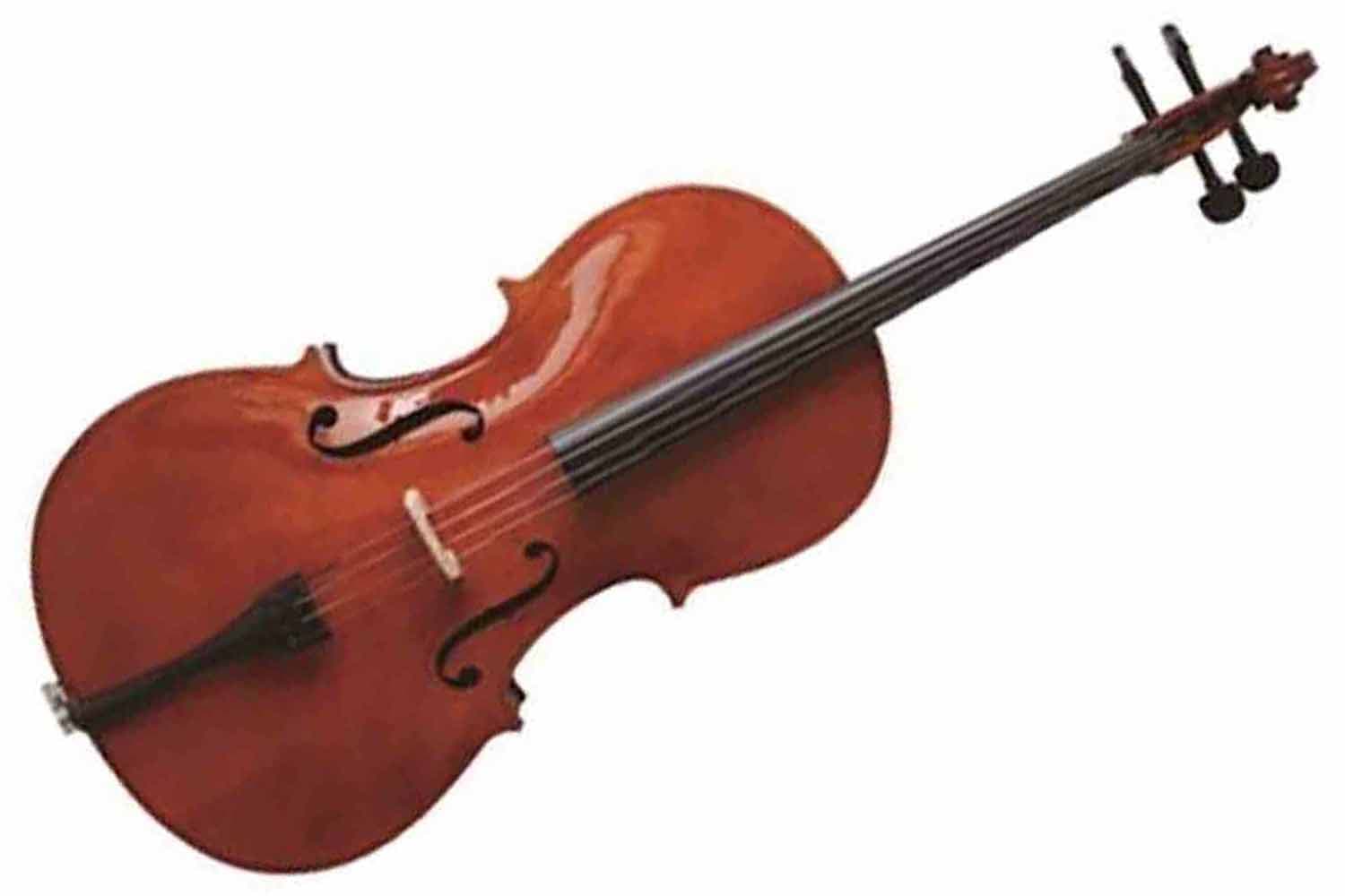 Виолончель 1/2 SEASOUND JYC00 1/2 - виолончель 1/2 со смычком, в чехле - фото 1