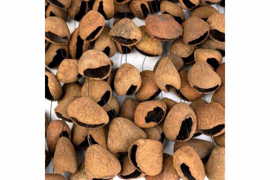 Шейкер Sela SESDC3 Seed Chime Pangi - Шейкер - фото 4