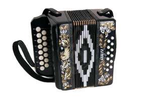 Изображение Шуйская гармонь S40XL-C-BLACK