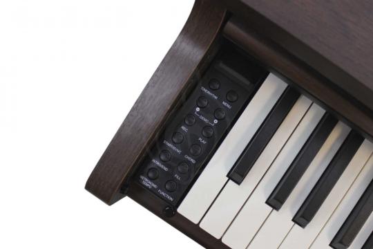 Цифровое пианино Solista DP200BR - Цифровое пианино - фото 8