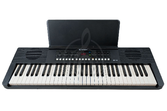 Solista SK-61 BK - Синтезатор - фото 1 Синтезатор Solista SK-61 BK - Синтезатор - фото 1